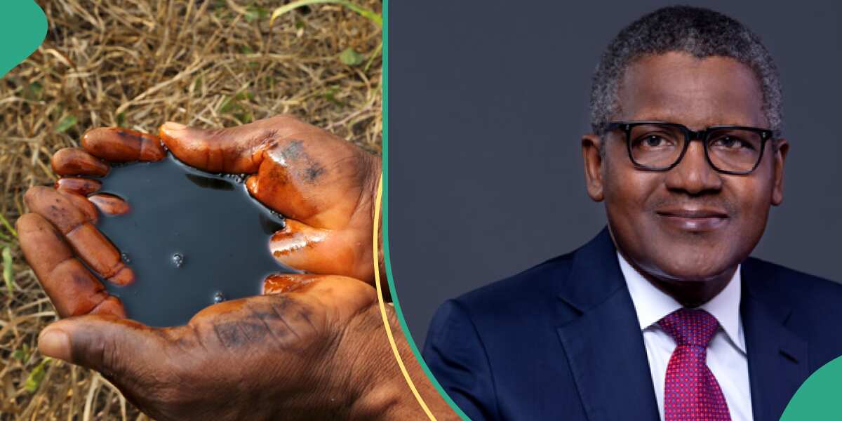 Marketers back Dangote, demand investigation into allegations of sabotage by IOCs