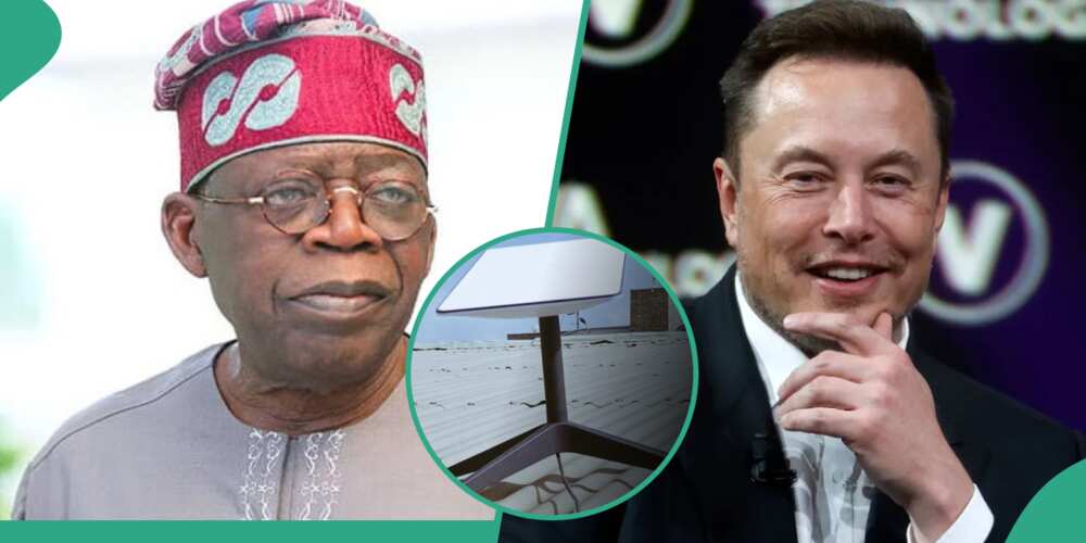 Elon Musk’s Starlink set to partners FG for job creation in Nigeria