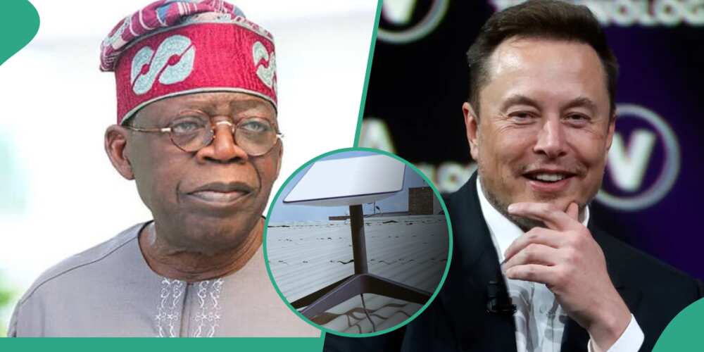 Elon Musk’s Starlink set to partners FG for job creation in Nigeria Elon Musk’s Starlink set to partners FG for job creation in Nigeria
