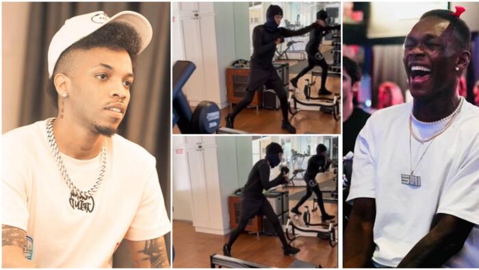 Fans tease Tekno as he gains inspiration from Israel Adesanya, shows off boxing skills in new video