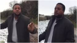 Nigerian man laments after finding what is lost in Nigeria at London farm
