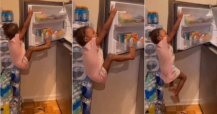 Little girl gets stuck after climbing fridge, steal snacks