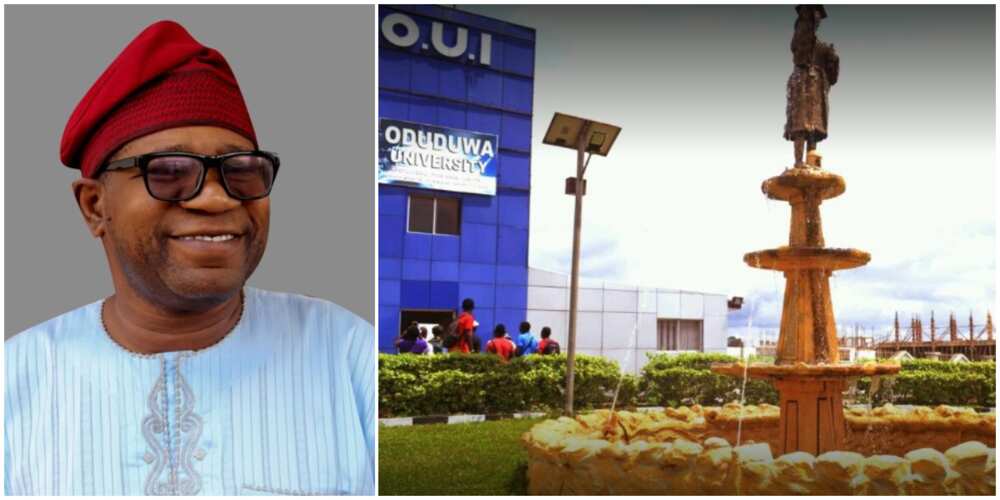 Joy as young Nigerian vice chancellor sees off competition from UK, Canada. others to win top US scholarship