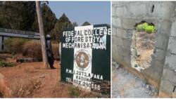 Kaduna school kidnap: 39 students confirmed missing after bandits' attack