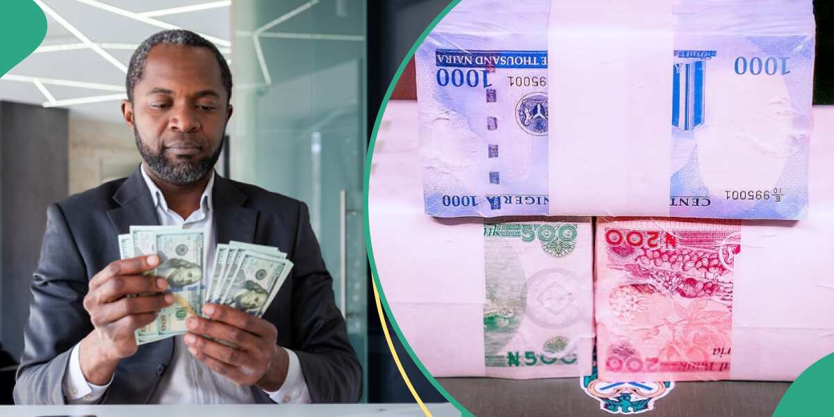 Naira Becomes World’s Best-Performing Currency, Continues Gain After 3 ...