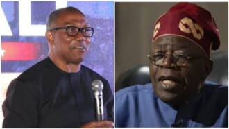 "Tinubu can’t be sworn in": Peter Obi's supporter shouts in viral video, delays Ibom Flight