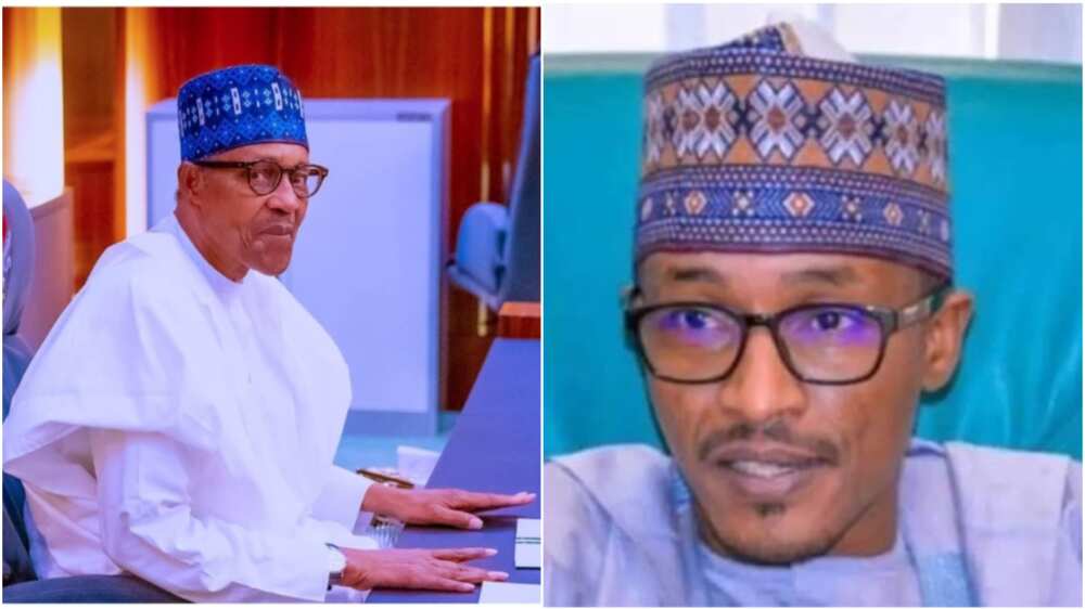 Buhari/Nephew/Muhammadu Buhari/Daura/Katsina state/2023 election