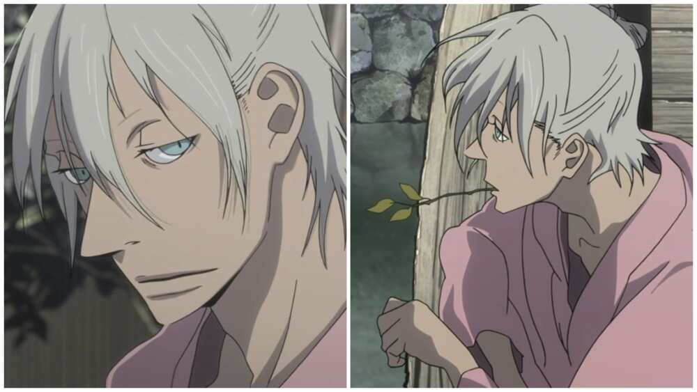 The Best White-Haired Anime Boys