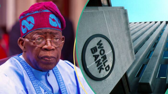 Tinubu secures another $700m loan from World Bank, 3rd since becoming president, details emerge