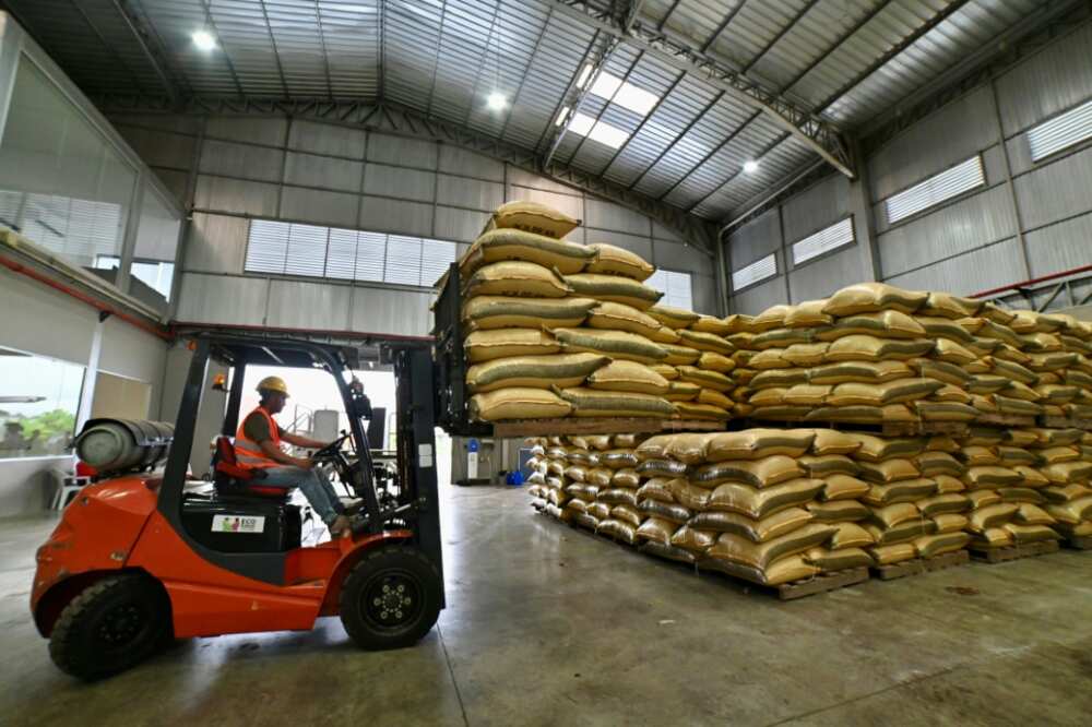 A worker arranges sacks of cocoa using a forklift at the Fumisa plant of fine aroma cocoa exporter Ecokakao in Buena Fe canton, Los Rios province, Ecuador