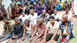 Miyyetti Allah arrests 11 kidnappers, hands them over to police in Taraba