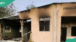 300-level student killed as fire razes female hostel of Yobe varsity