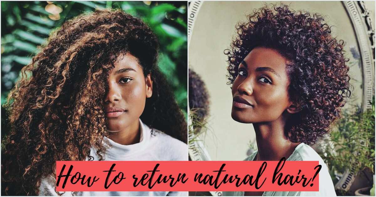 Best products for transitioning from relaxed to natural hair