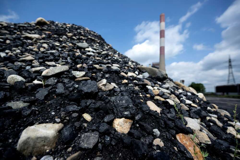 Chancellor Karl Nehammer has insisted that the plant would only go online if necessary Chancellor Karl Nehammer has insisted that the plant would only go online if necessary