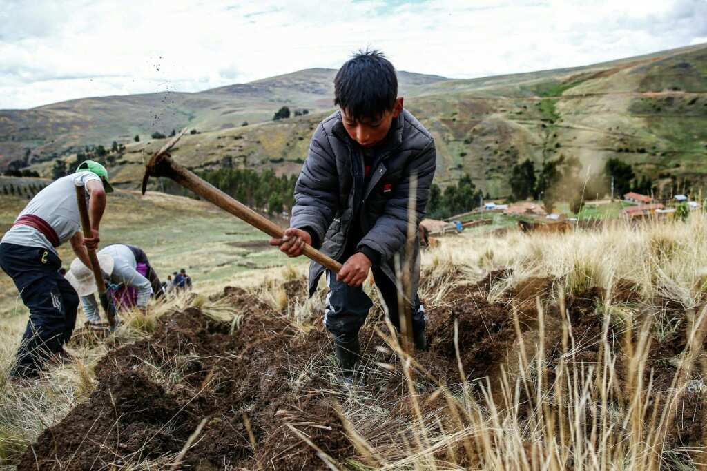 'We need information' plead Peru farmers battling drought, climate change