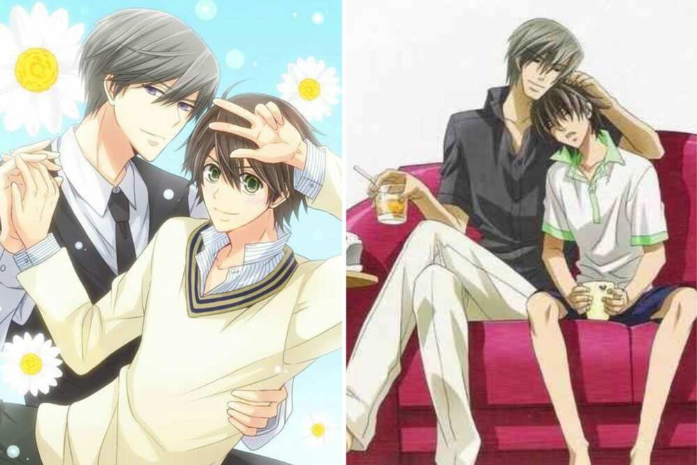 Gay romance anime
