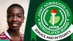 2024 UTME: Nigerian student scores 95 in Physics and Mathematics, gets 346 in total