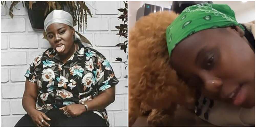 Nigerian singer Teni, Teni with her puppy Nigerian singer Teni, Teni with her puppy