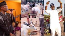 “It still won’t be enough”: Fans react as Kwam 1 gifts Pasuma 6 cows for his mother’s burial, video trends