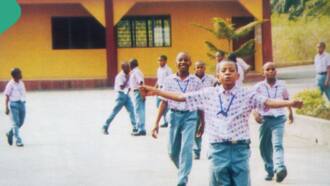 JAMB 2024: Photos emerge as 9 students of Topfaith school in Akwa Ibom score 300 and above in UTME