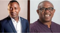 “There’s something suspicious”: Sowore reacts to Peter Obi’s alleged detention in London