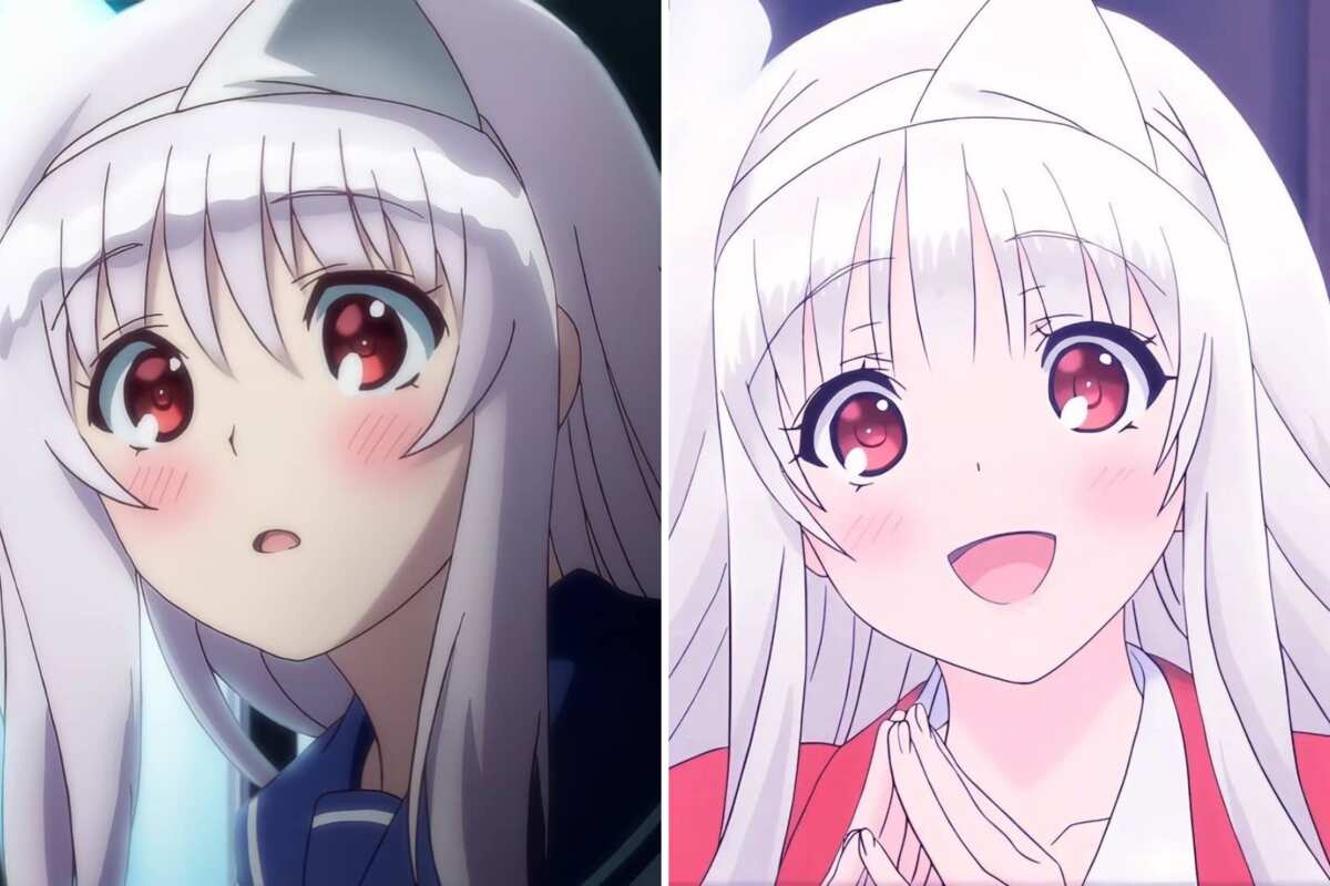 Top 5 Anime Characters with White Hair - Anime Ignite