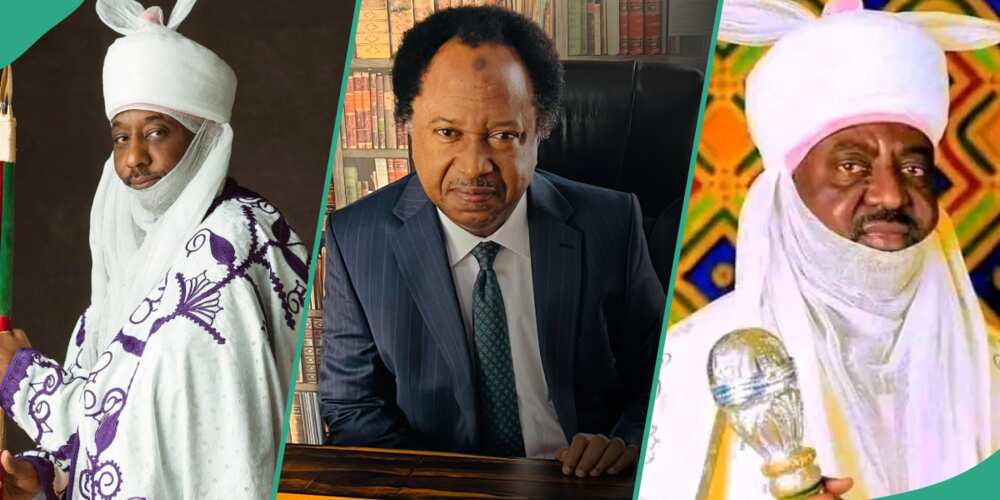 Shehu Sani proffers solution to royal tussle in Kano emirate