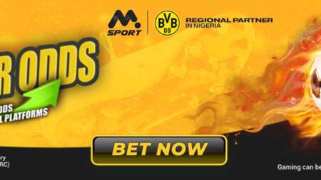 MSport European Football 2023-2024 Season Predictions: Championship, Survival, Relegation