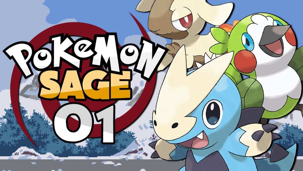 The Best Fan-Made Pokemon Games