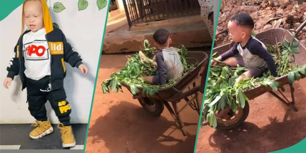 Transformation of exiguous boy sent to village goes viral