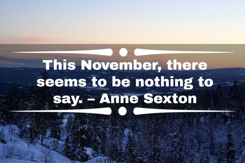 Quotes about November