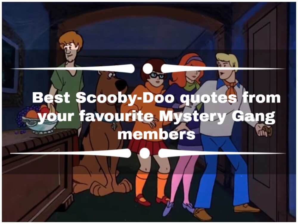 Top 30 Scooby-Doo Catchphrases