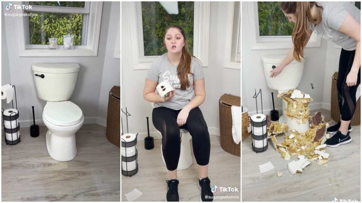 Order & Send 3D Toilet Cake Online Same Day from CakeFlowersGift.com
