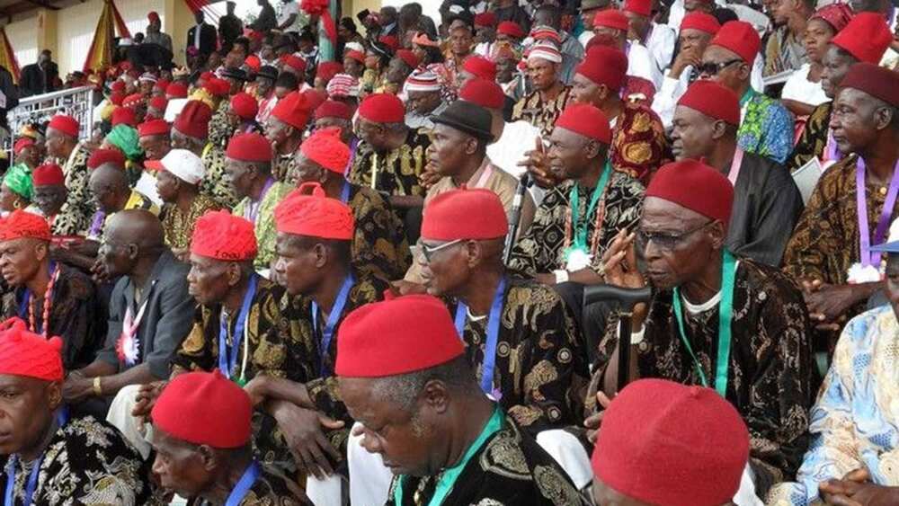 APC leader says only unity will produce Igbo president in 2023