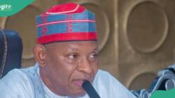 Surprise springs as Kano gov appoints 115 new aides, gives reason