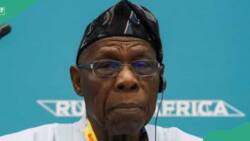 Obasanjo: Why youths are supporting rising coups in Africa