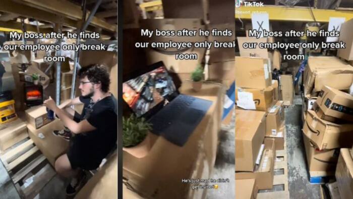 "Life of luxury": Employer find out where staff hide under the carton to watch films on duty, video goes viral