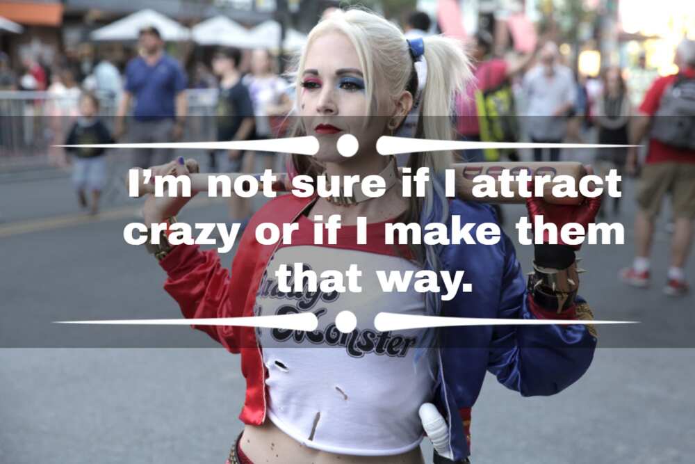 80+ famous Harley Quinn quotes from comics, movies and TV shows 80+ famous Harley Quinn quotes from comics, movies and TV shows