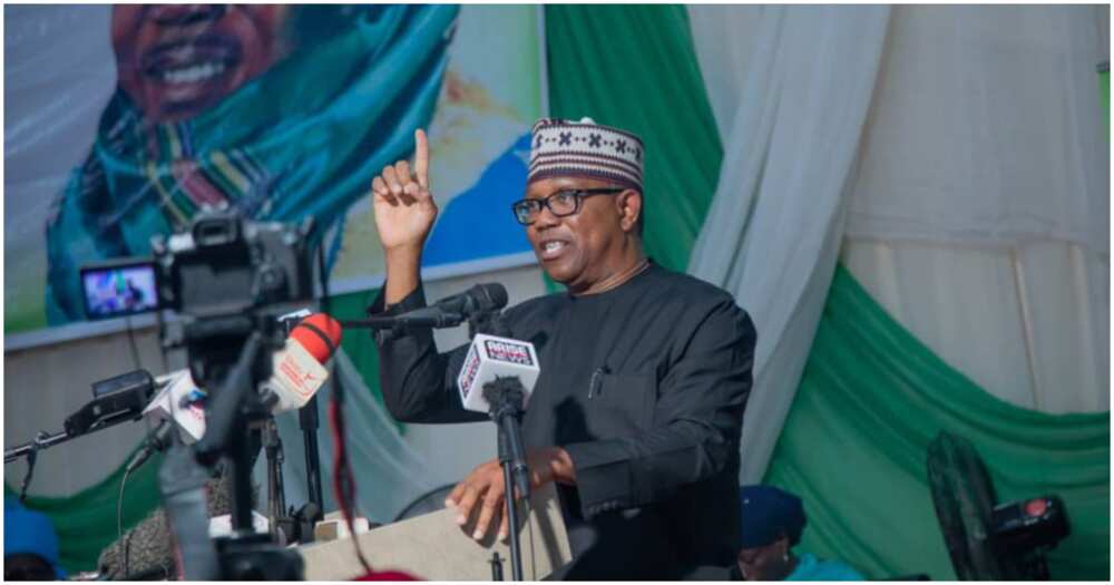 Abia state 2023 election, Enugu state 2023 election, Peter Obi, Labour Party, INEC Abia state 2023 election, Enugu state 2023 election, Peter Obi, Labour Party, INEC