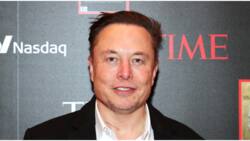 Elon Musk reportedly offers 19-year-old N2m to delete Twitter account tracking his private jet, boy wants N20m