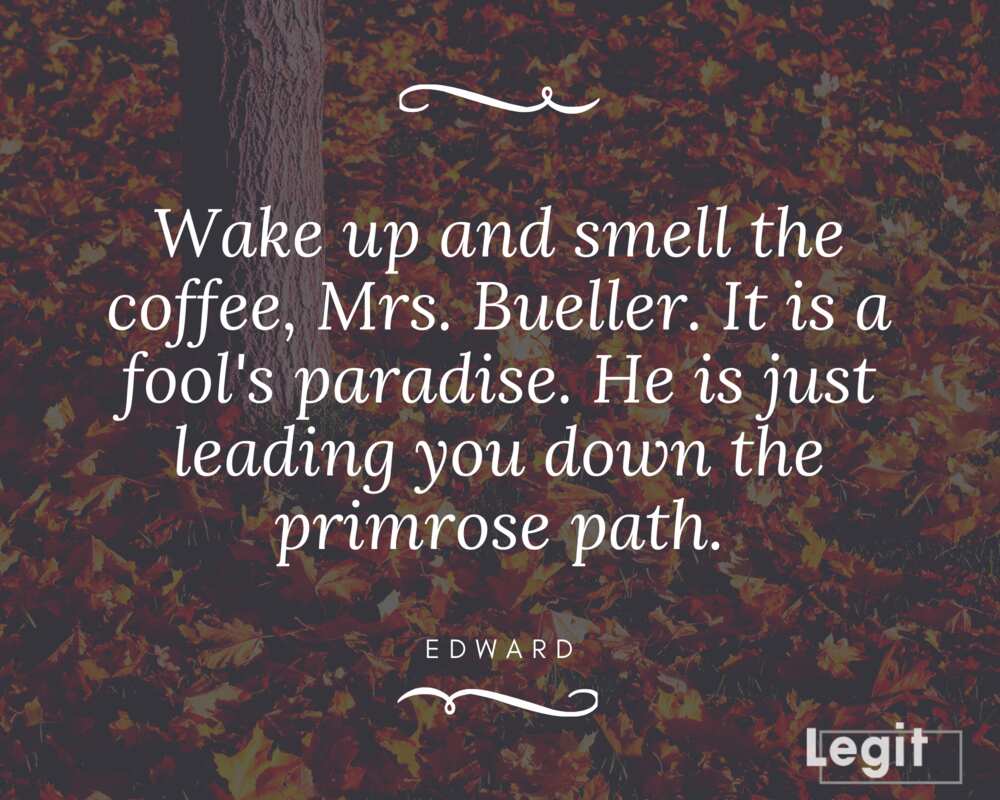 Ferris Bueller quote Ferris Bueller quote