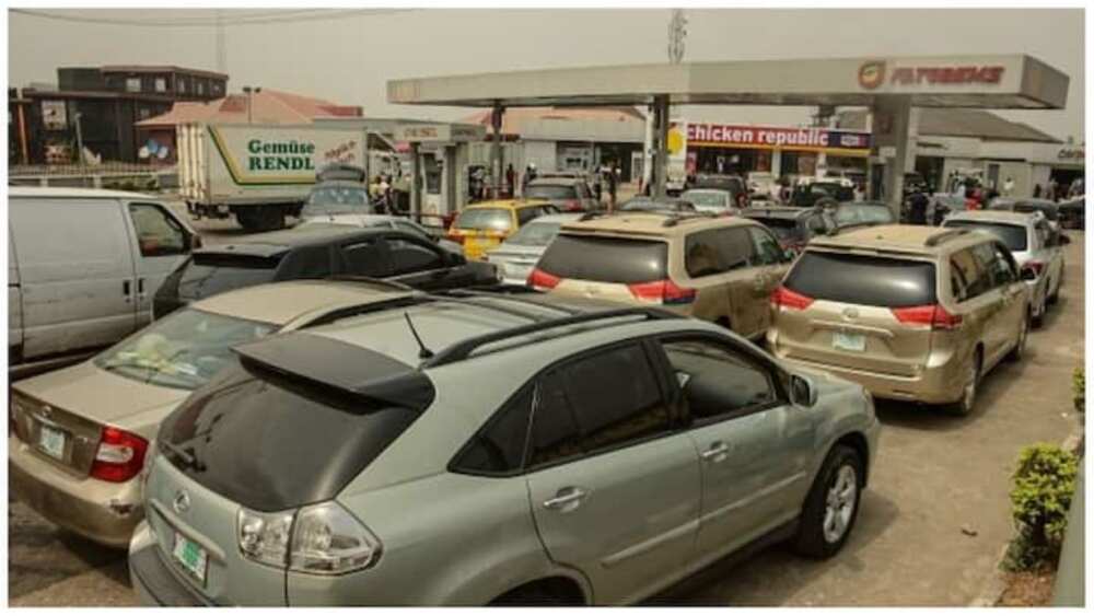 Petrol, Fuel, Fuel scarcity in Nigeria, IPMAN, petroleum marketers