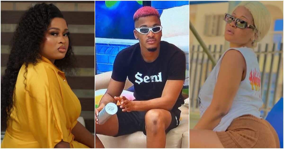 “She Was Supposed To Talk To Him On My Behalf": BBNaija’s Amaka Speaks ...