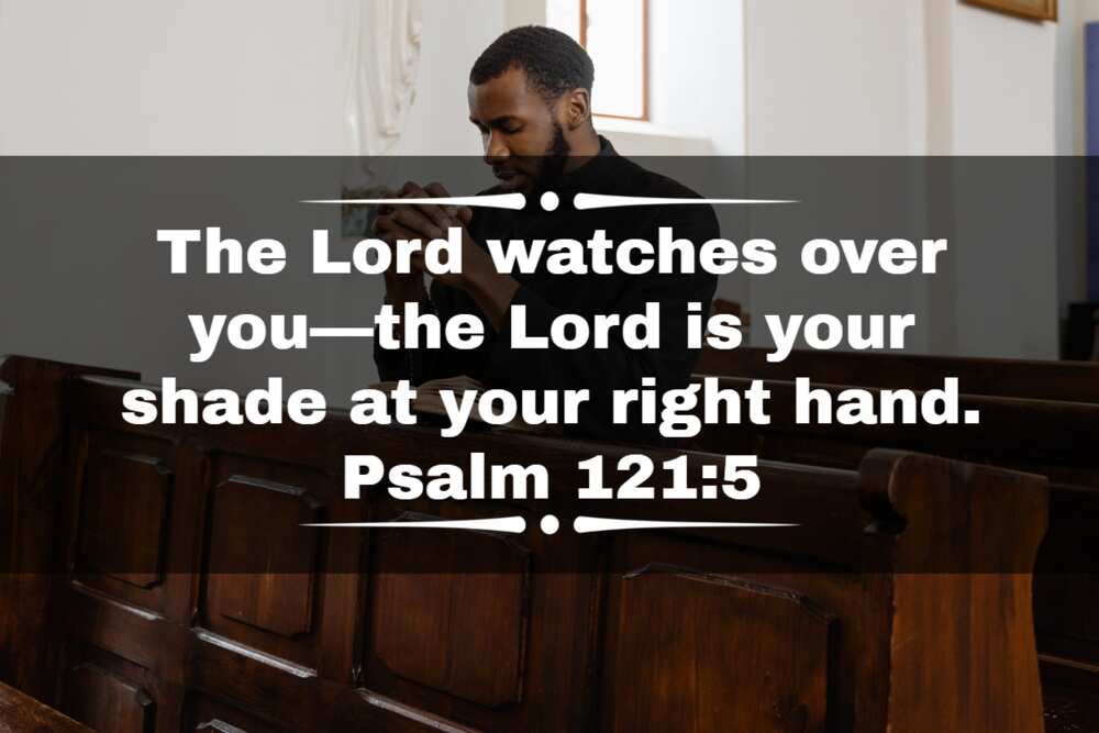 bible verse about success in studies bible verse about success in studies