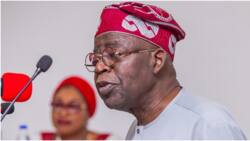 PDP, Dino Melaye: NDLEA opens up on Tinubu’s alleged drug case in US, tells court real truth