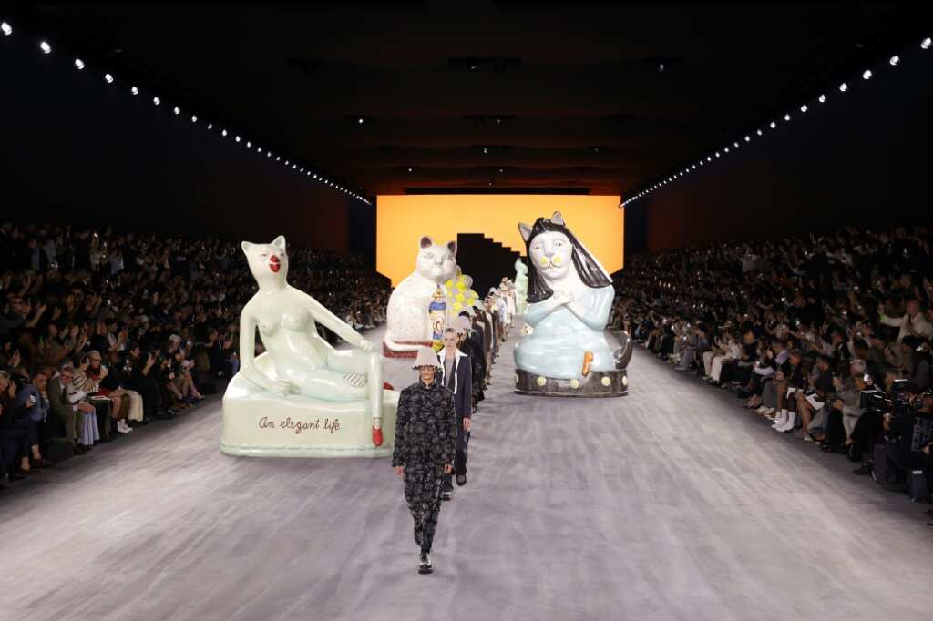 Dior offers laid-back style on a feline cat-walk