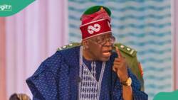 BREAKING: Details of Tinubu's meeting with service chiefs, others, emerge amid Nigeria's challenges