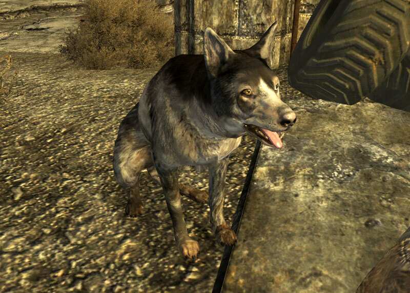 best mods for fallout new vegas