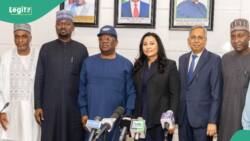 Cement Price: FG lists 6 key agreements reached with Dangote, BUA, Lafarge