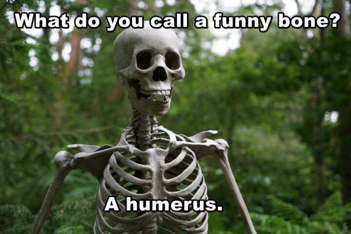 100 Skeleton Puns Jokes And Memes That Will Tickle Your Funny Bone 